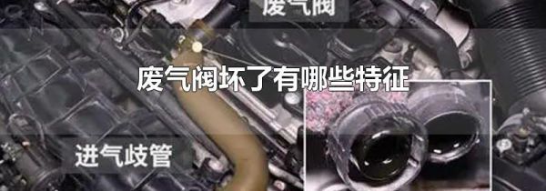 废气阀坏了有哪些特征