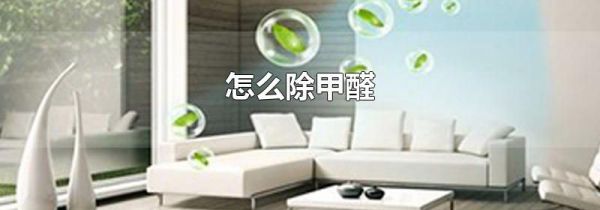 怎么除甲醛