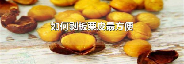 如何剥板栗皮最方便
