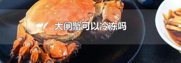大闸蟹可以冷冻吗