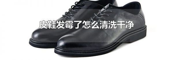 皮鞋发霉了怎么清洗干净