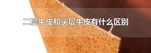 二层牛皮和头层牛皮有什么区别