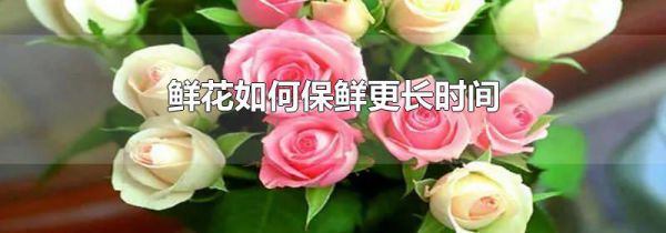 鲜花如何保鲜更长时间