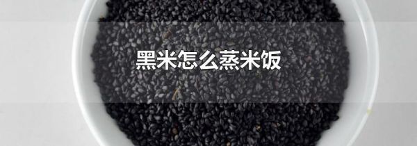 黑米怎么蒸米饭