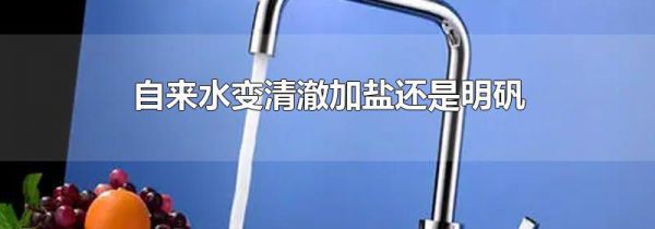 自来水变清澈加盐还是明矾