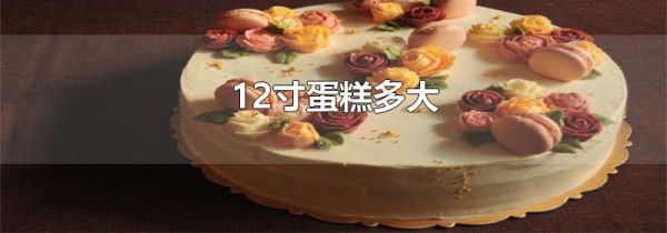 12寸蛋糕多大