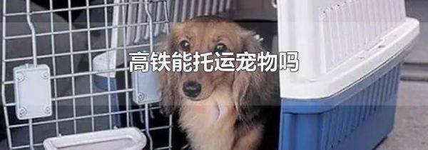 高铁能托运宠物吗