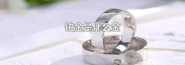 铂金是什么金