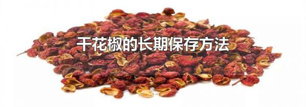 干花椒的长期保存方法