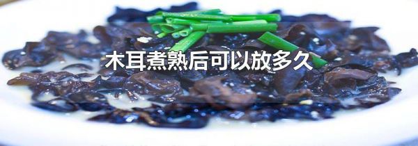 木耳煮熟后可以放多久