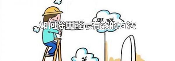 如何除甲醛最有效的方法