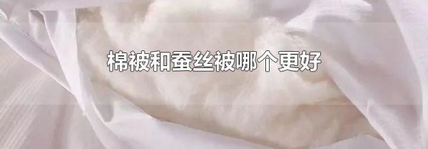 棉被和蚕丝被哪个更好