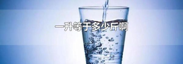 一升等于多少斤啊