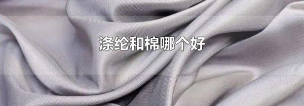涤纶和棉哪个好