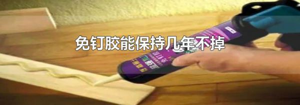 免钉胶能保持几年不掉
