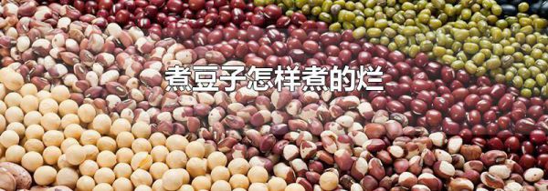 煮豆子怎样煮的烂