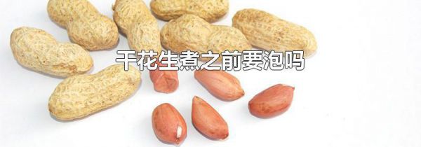 干花生煮之前要泡吗