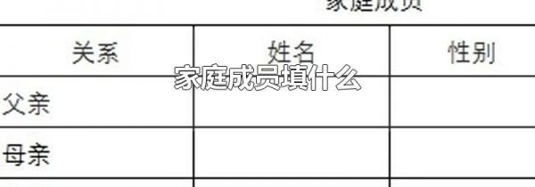 家庭成员填什么