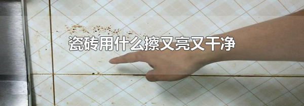 瓷砖用什么擦又亮又干净