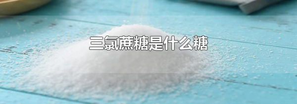 三氯蔗糖是什么糖