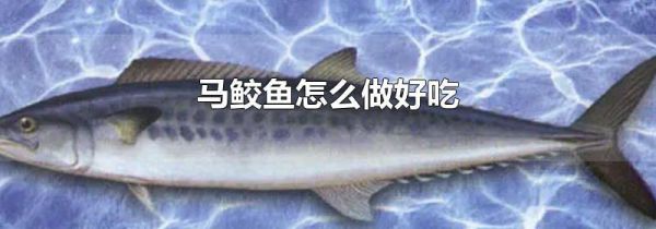 马鲛鱼怎么做好吃