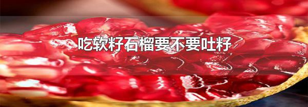吃软籽石榴要不要吐籽