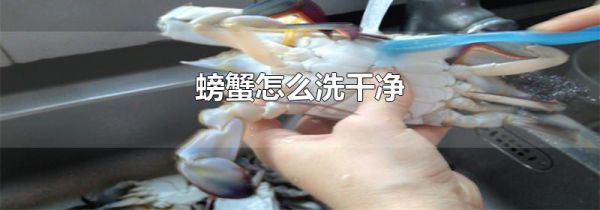 螃蟹怎么洗干净