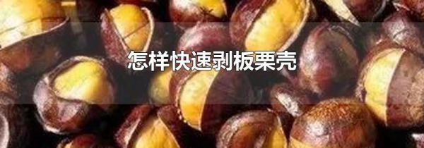 怎样快速剥板栗壳