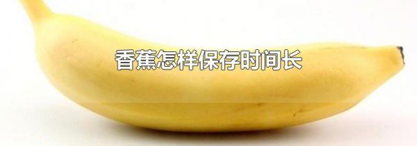 香蕉怎样保存时间长