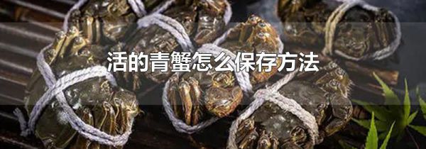 活的青蟹怎么保存方法