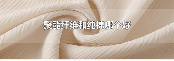 聚酯纤维和纯棉哪个好