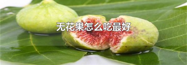 无花果怎么吃最好