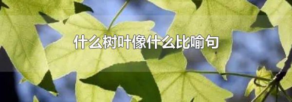 什么树叶像什么比喻句