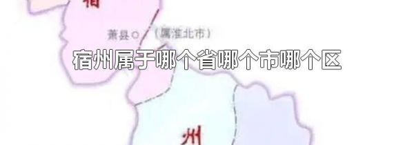 宿州属于哪个省哪个市哪个区