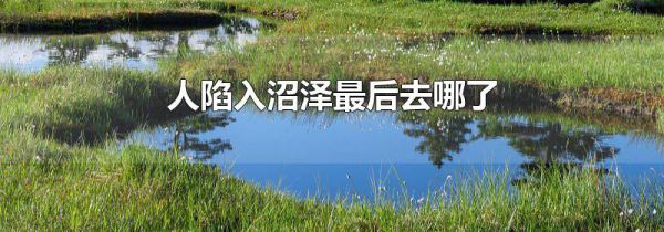 人陷入沼泽最后去哪了