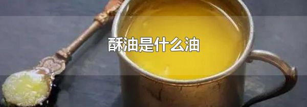 酥油是什么油