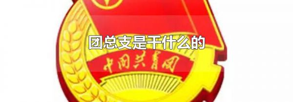 团总支是干什么的
