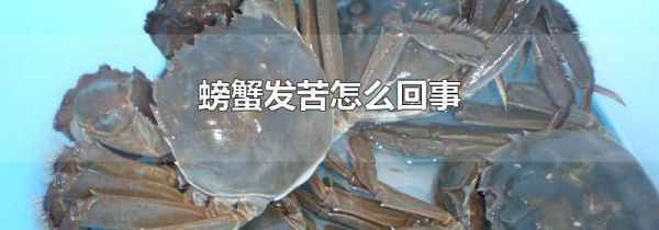 螃蟹发苦怎么回事