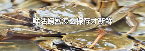 鲜活螃蟹怎么保存才新鲜