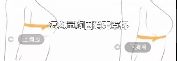 怎么量胸围确定罩杯