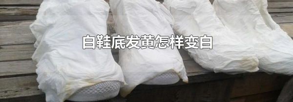 白鞋底发黄怎样变白