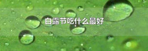 白露节吃什么最好