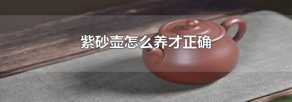 紫砂壶怎么养才正确