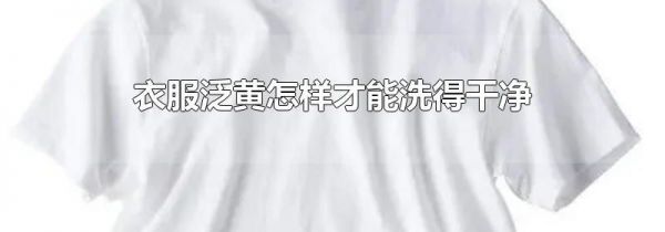 衣服泛黄怎样才能洗得干净