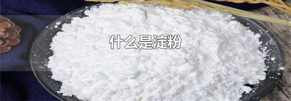 什么是淀粉