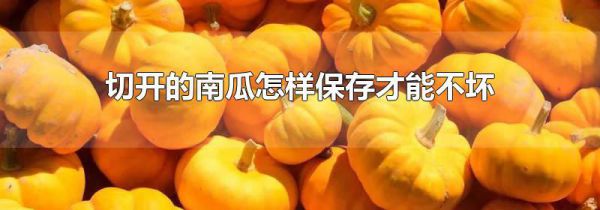 切开的南瓜怎样保存才能不坏
