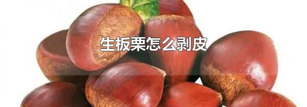 生板栗怎么剥皮