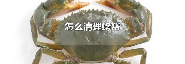 怎么清理螃蟹