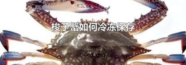 梭子蟹如何冷冻保存