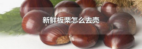 新鲜板栗怎么去壳